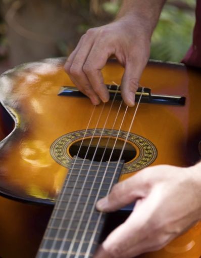 Luthiers - Cuerdas Pulsadas